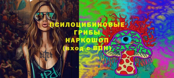 гашик Аркадак