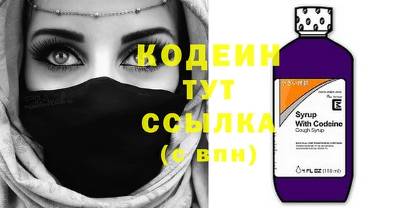 гашик Аркадак