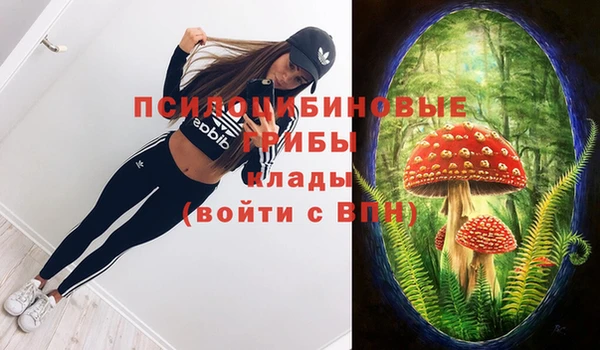 бошки Богородицк