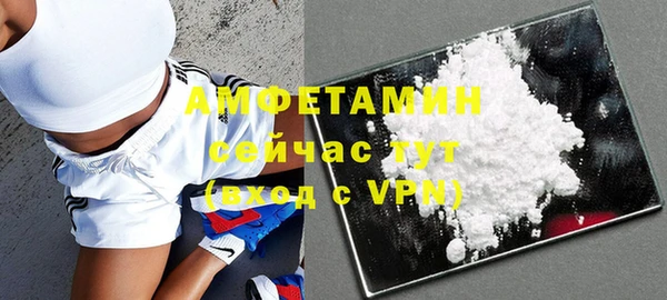гашик Аркадак